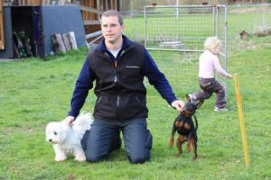 Mobiles-Hundetraining